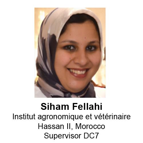 Siham Fellahi-2.jpg