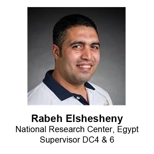 Rabeh Elshesheny-2B.jpg