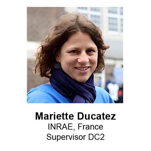 Mariette Ducatez-2.jpg