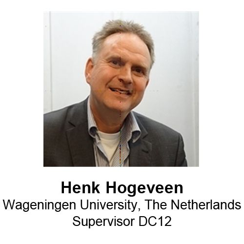 Henk Hogeveen-2.jpg