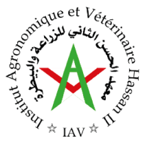 IAV.png