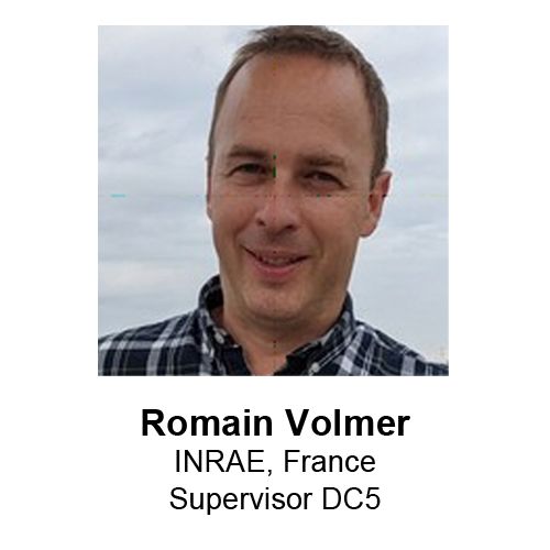 Romain Volmer-2.jpg