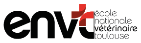ENVC.png