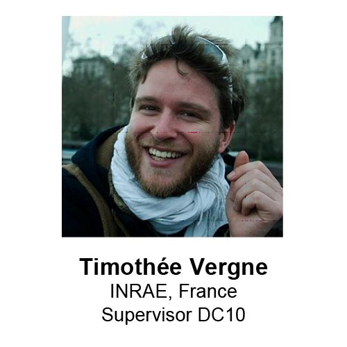 Timothée Vergne-2.jpg