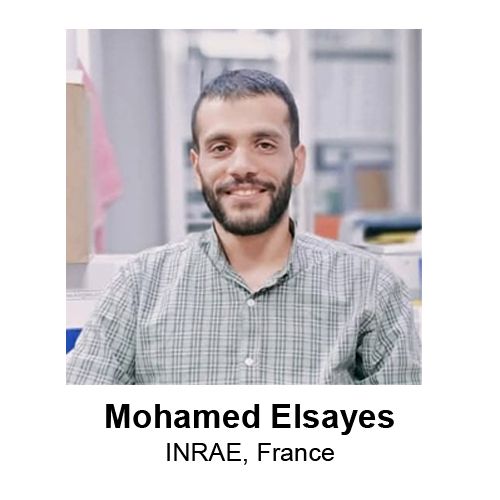 Mohamed Elsayes.jpg